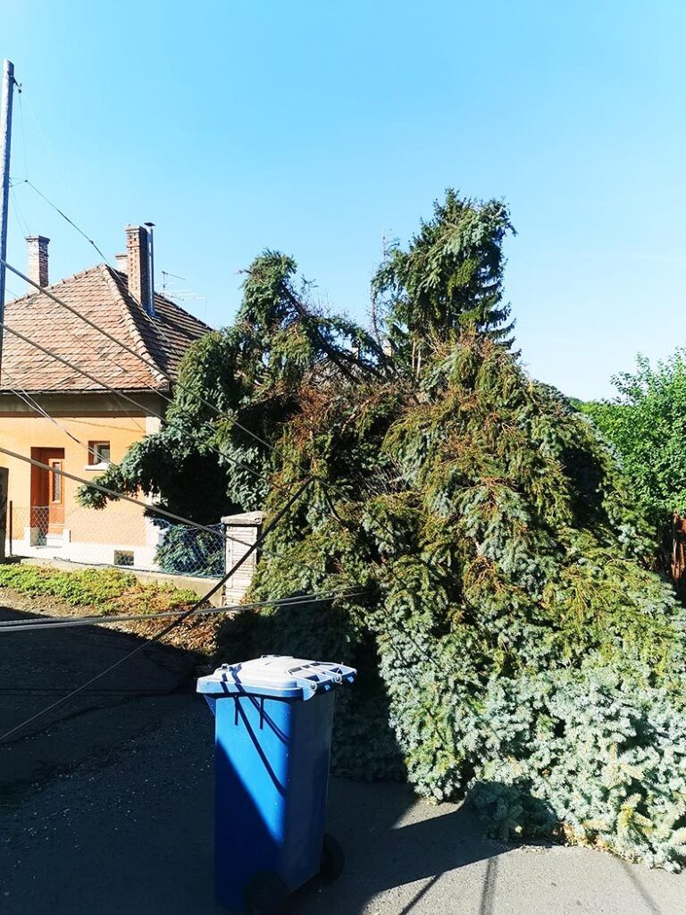 Img 20210809 092433