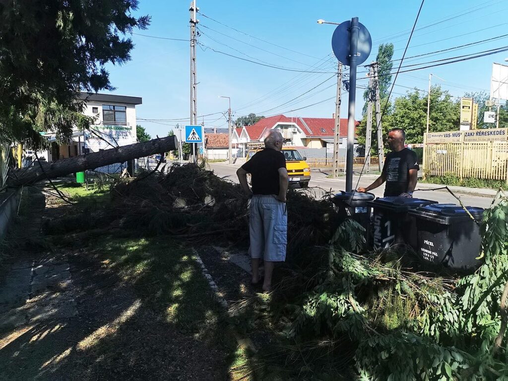 Img 20210809 092433