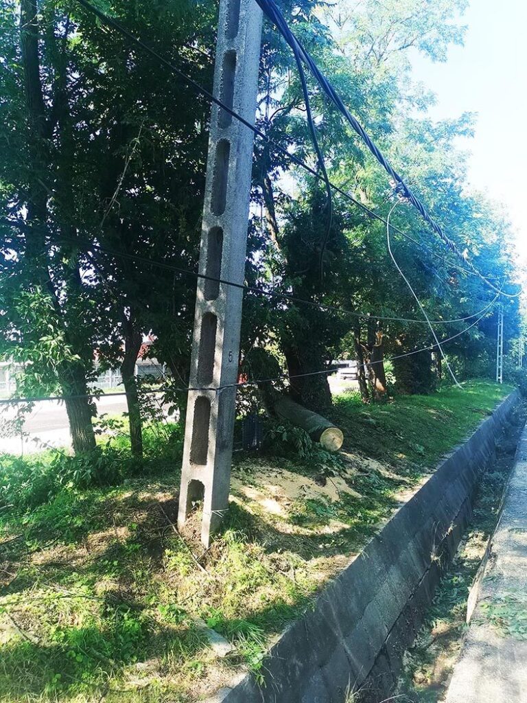 Img 20210809 092433