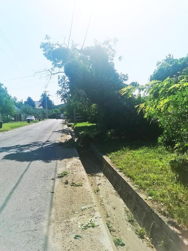 Img 20210809 092433