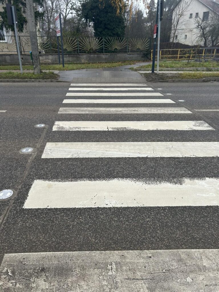 Okoszebra2