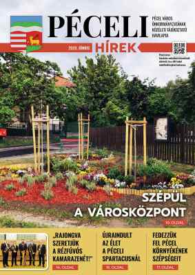 PDF